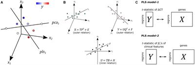 Transcriptomic Signatures Associated With Regional Cortical Thickness Changes in Parkinson’s Disease